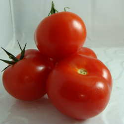 Tomate Ronde x 500g