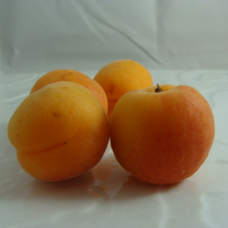 Abricot x 500g
