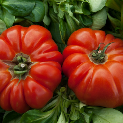Tomate Côtelée rouge x 600g