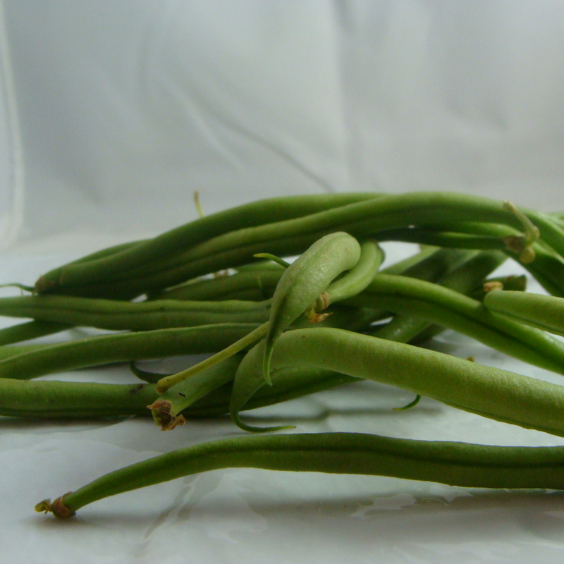 haricot vert bio- Du Panier à l'Assiette