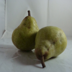 Poire William Verte x 500g