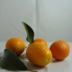 Kumquat x 200g