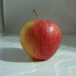 Pomme Story x 500g