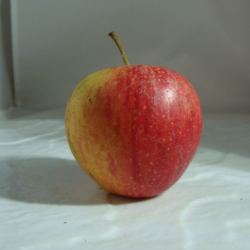 Pomme Pixie x 500g