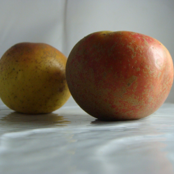 Pomme Reinette d'Armorique...