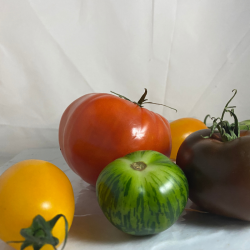 Tomates Mixte Couleur X 600G