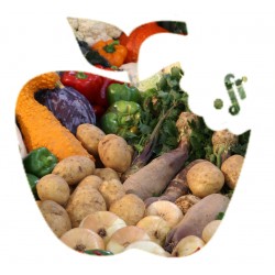 Panier Légumes bio