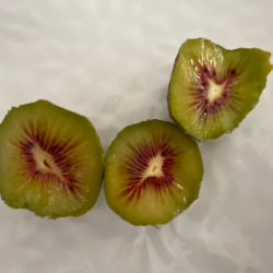 Kiwi rouge