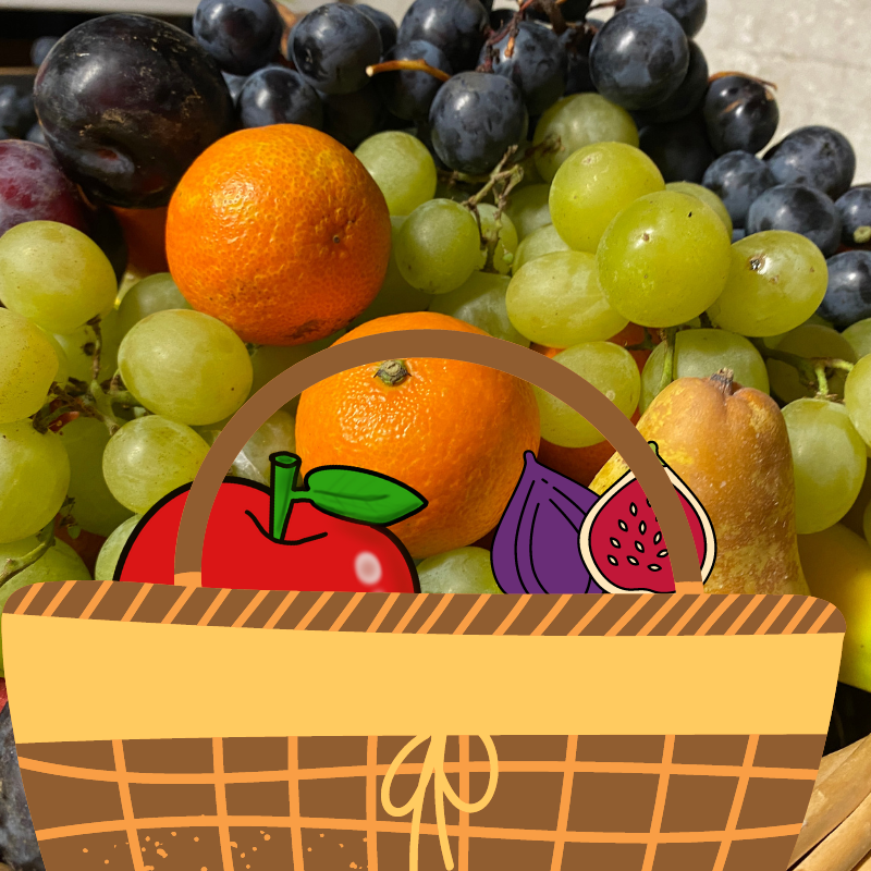 Corbeille de fruits frais (15 pers.) - Boutique Erisay Traiteur