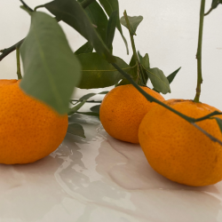 Mandarine Feuille x 500g