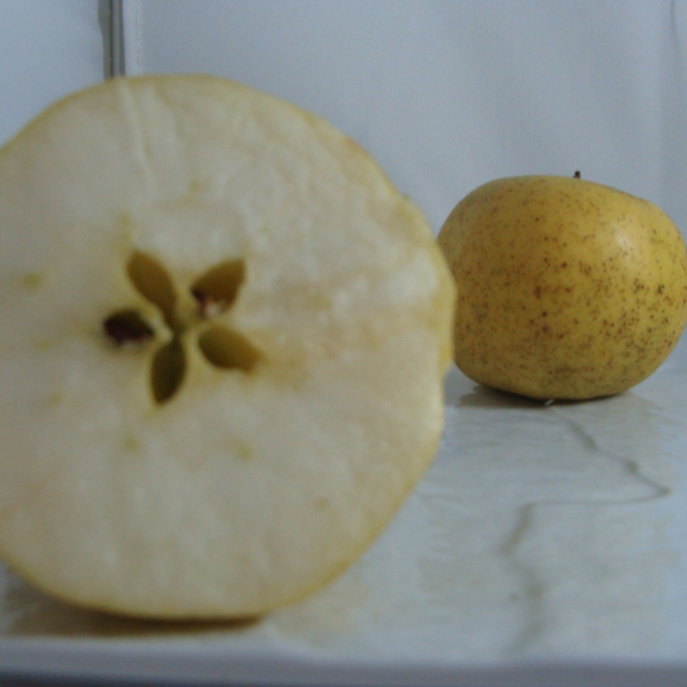 Pomme belchard Bio - Du Panier à l'Assiette