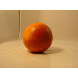 Orange Maltaise x 1 kg