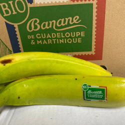 Banane x550g
