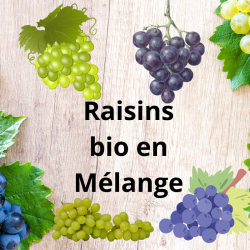 Raisin de Table en Mélange...