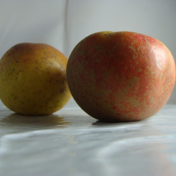 Pomme Reinette d'Angleterre...